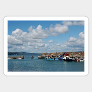 Helvick Head Harbour Sticker